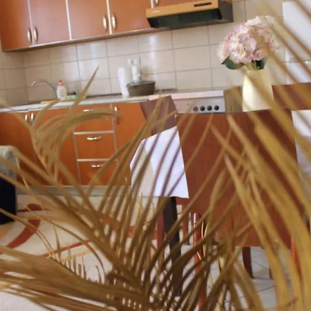 Apartment Bledi's Cozy In New Blvd Tirana