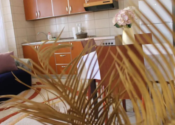 Apartmán Bledi's Cozy In New Blvd Tirana